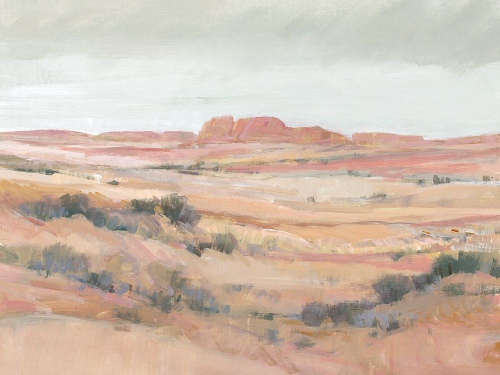 Wall Art Painting id:433704, Name: Southwest Landscape II, Artist: OToole, Tim
