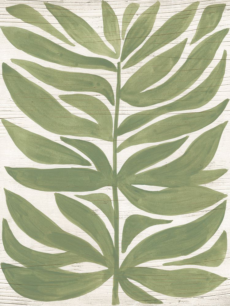 Wall Art Painting id:444504, Name: Driftwood Palm Leaf II, Artist: Vess, June Erica