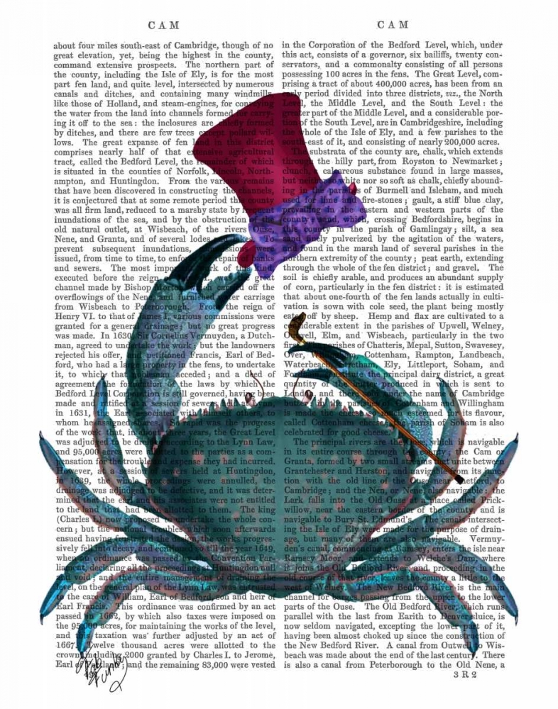 Wall Art Painting id:67296, Name: The Dandy Crab, Artist: Fab Funky