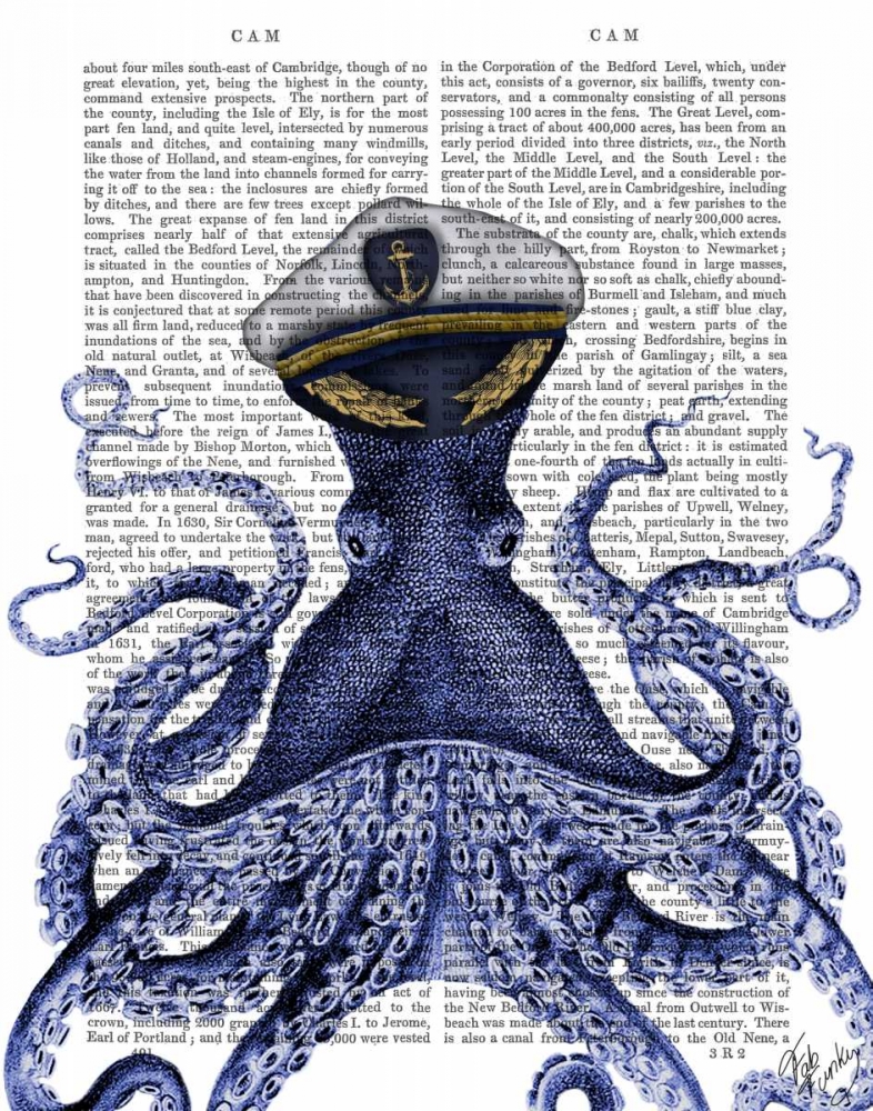 Wall Art Painting id:67298, Name: Captain Octopus, Artist: Fab Funky