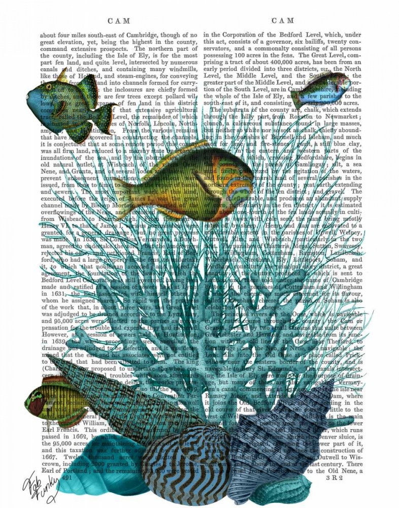 Art Print: Fish Blue Shells and Corals