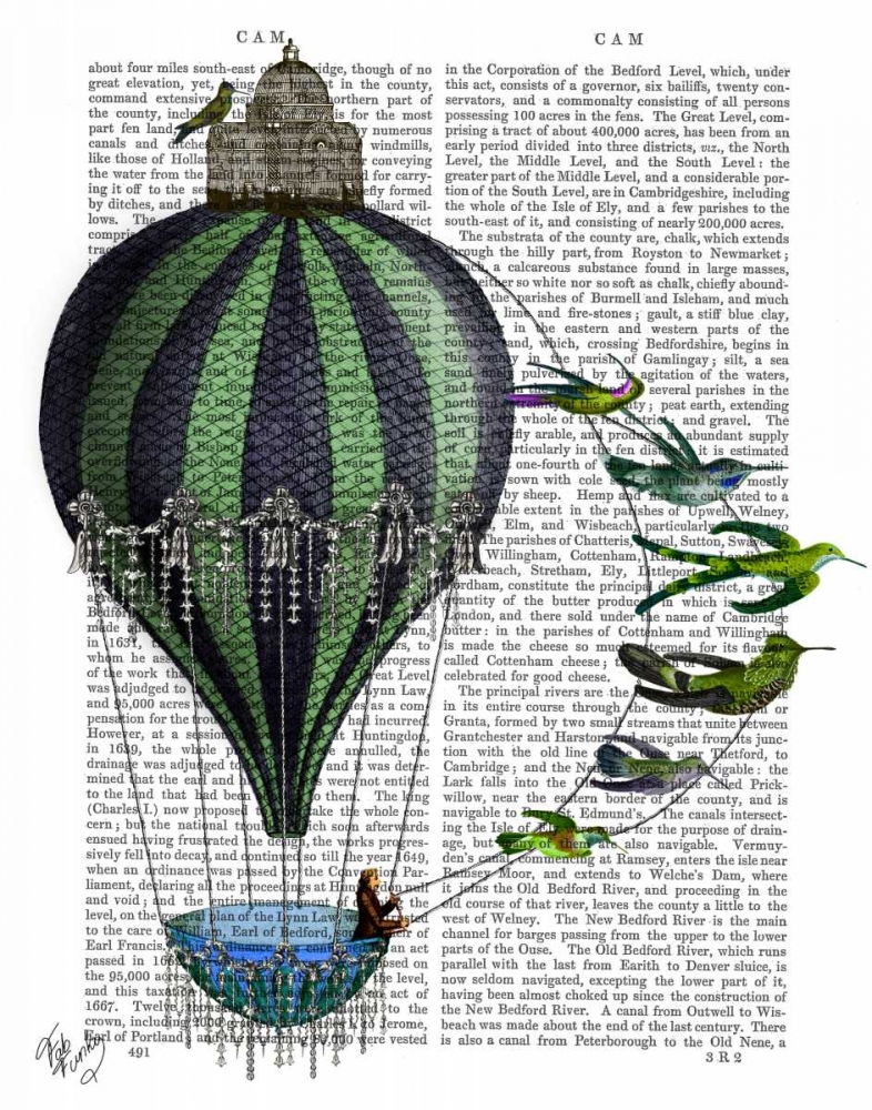 Art Print: Hot Air Balloon and Birds