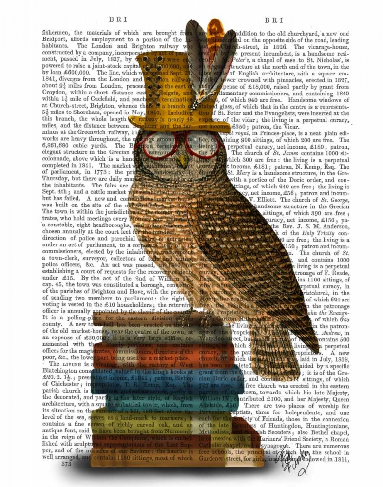 Art Print: Owl On Books