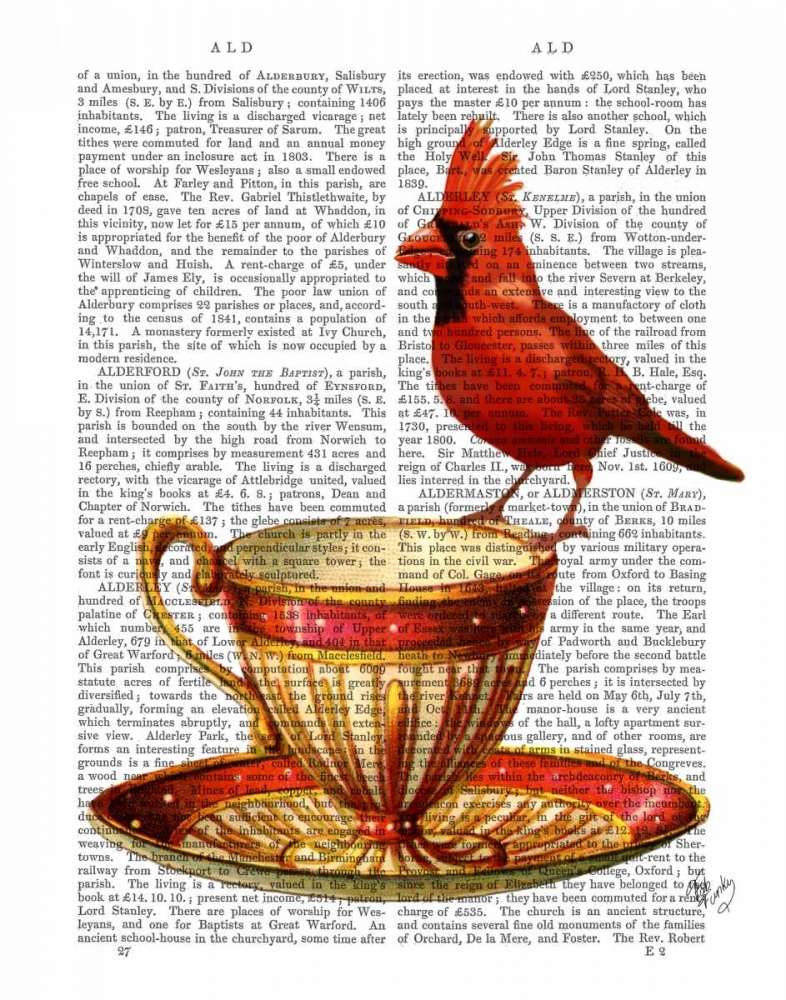 Art Print: Teacup And Red Cardinal