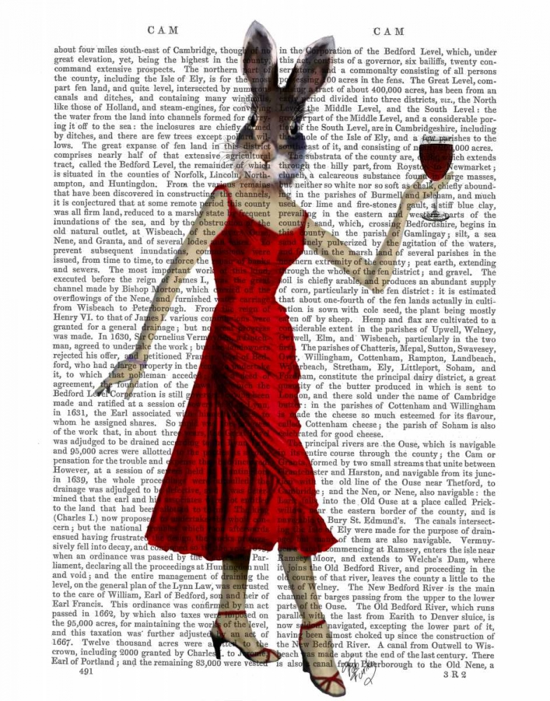 Wall Art Painting id:67613, Name: Rabbit in Red Dress, Artist: Fab Funky