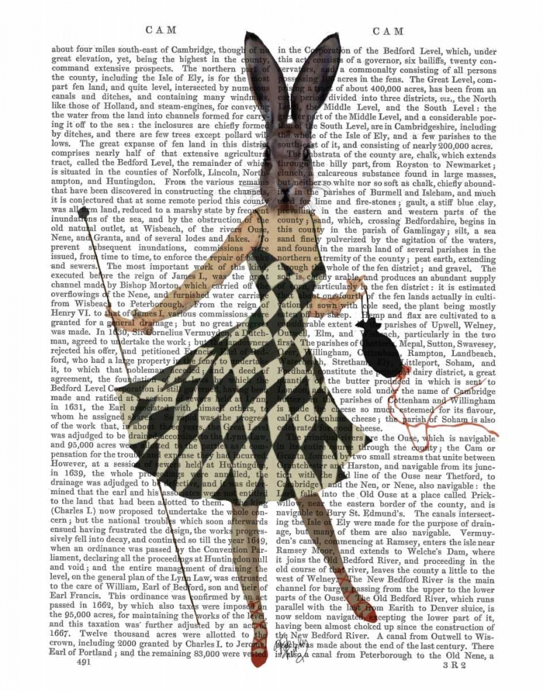 Wall Art Painting id:67614, Name: Rabbit in Black White Dress, Artist: Fab Funky