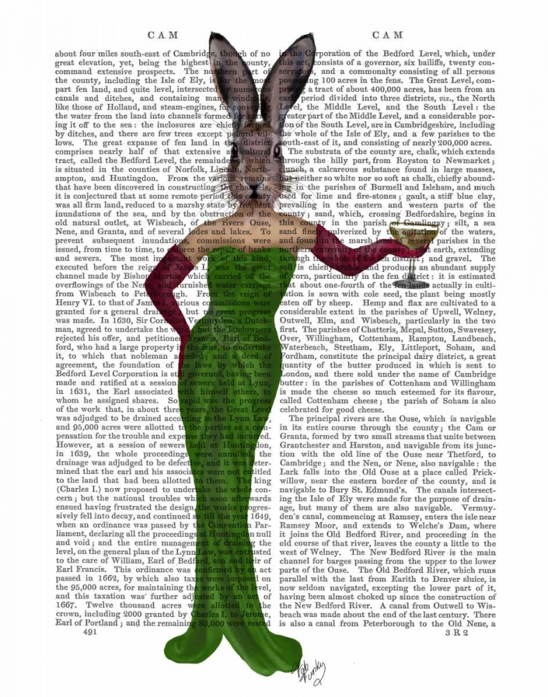 Wall Art Painting id:67619, Name: Rabbit Green Dress, Artist: Fab Funky