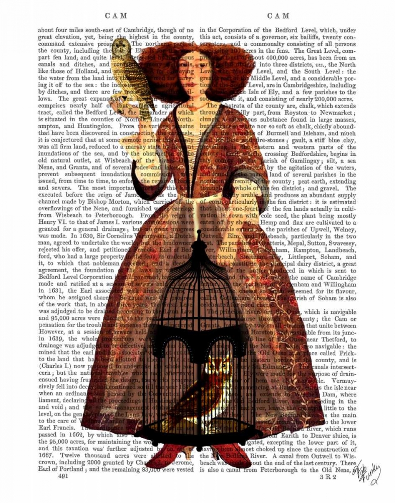 Art Print: The Owl Lady