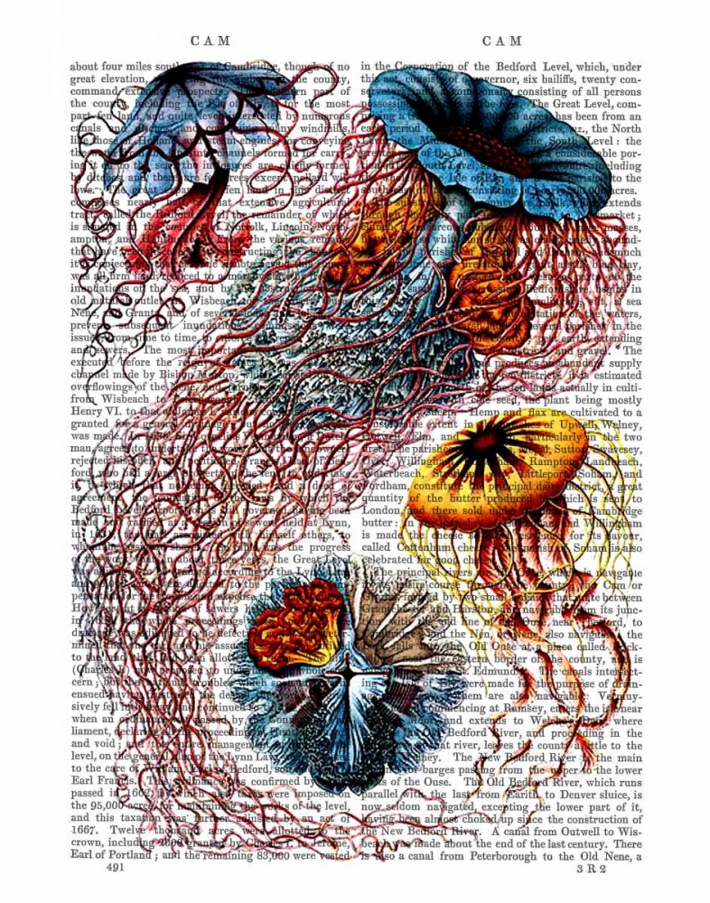 Art Print: Sea Anemone