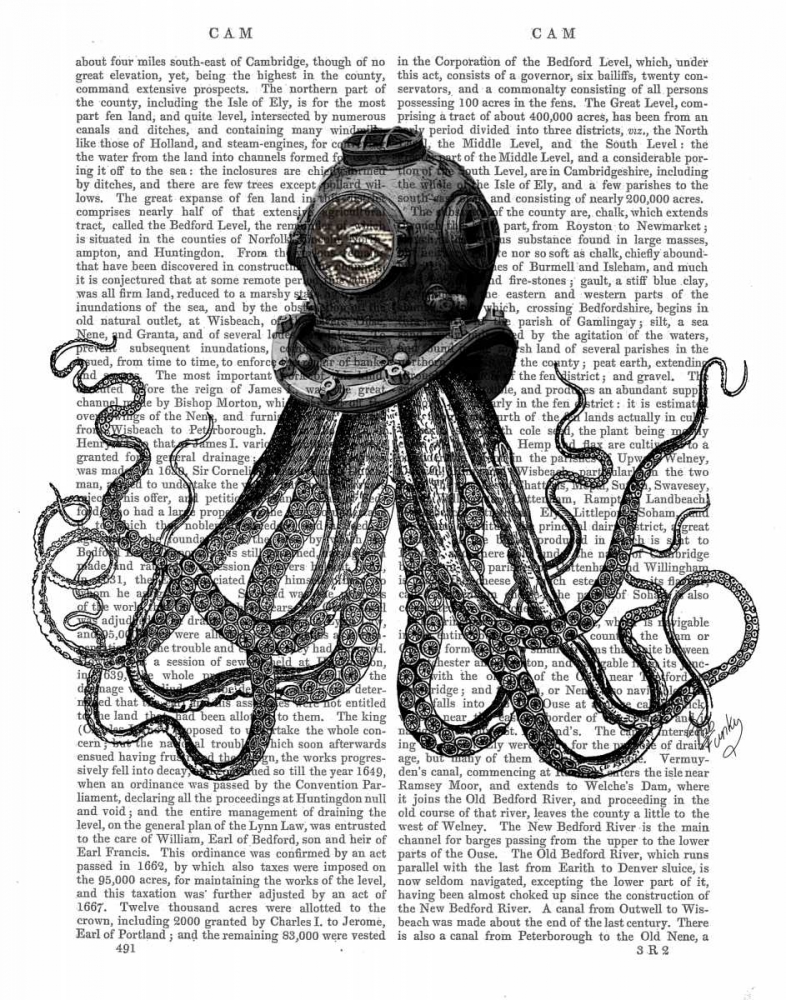 Wall Art Painting id:67682, Name: Octopus and Diving Helmet, Artist: Fab Funky