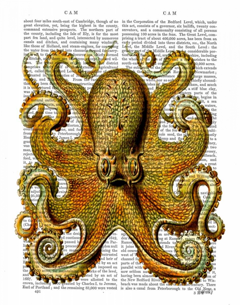 Wall Art Painting id:67683, Name: Vintage Yellow Octopus Front, Artist: Fab Funky