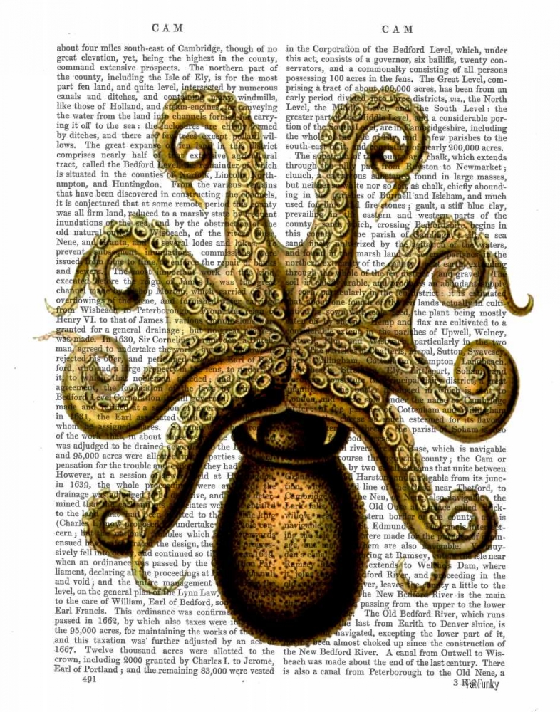 Wall Art Painting id:67684, Name: Vintage Yellow Octopus Underside, Artist: Fab Funky