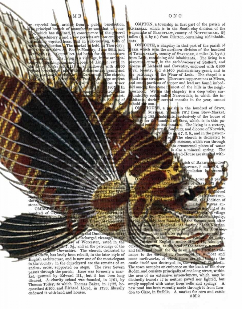 Art Print: Vintage Spiky Fish