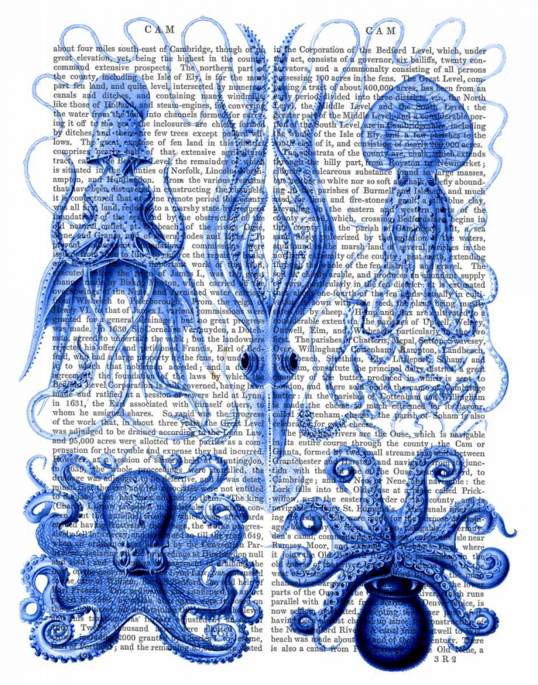 Wall Art Painting id:67688, Name: Octopus and Squid Blue, Artist: Fab Funky