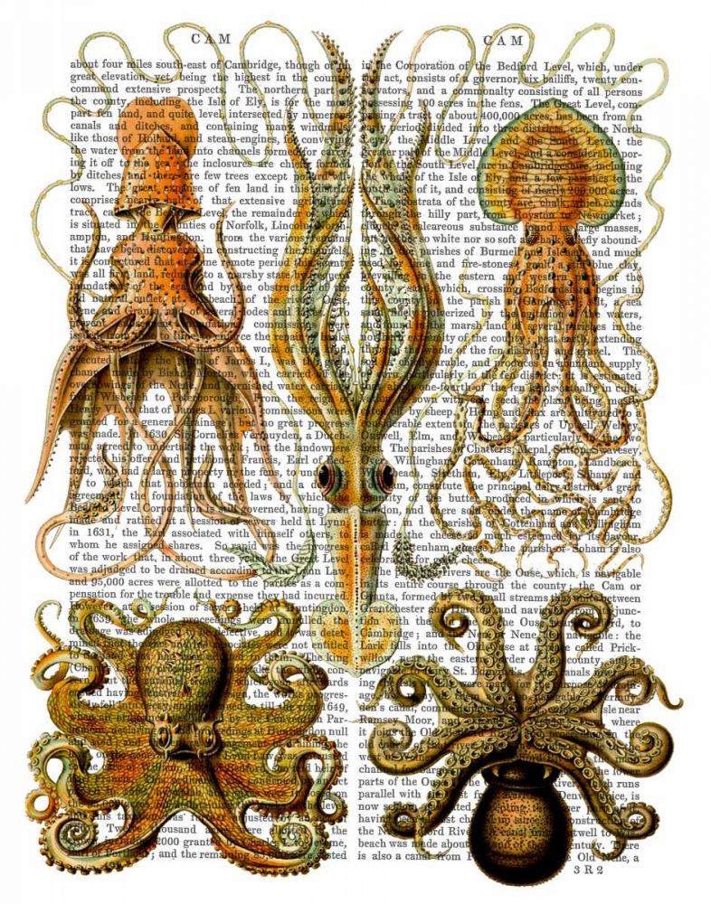 Wall Art Painting id:67689, Name: Octopus and squid, Artist: Fab Funky