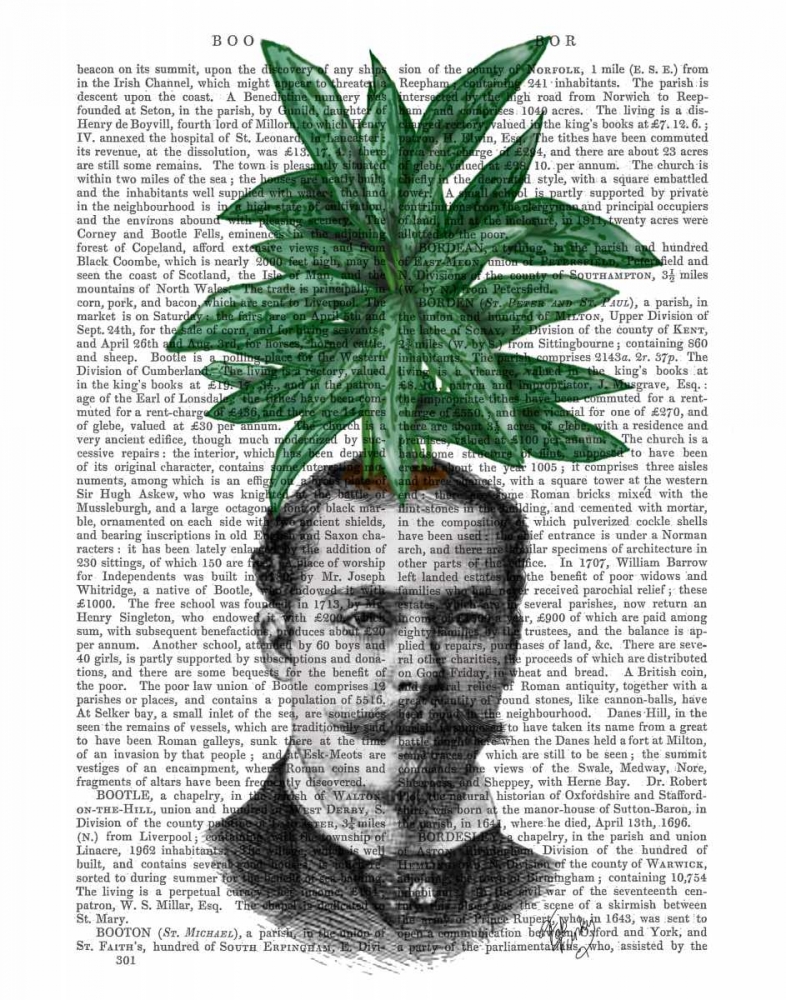 Wall Art Painting id:67714, Name: Chinese Evergreen Head Plant Head, Artist: Fab Funky