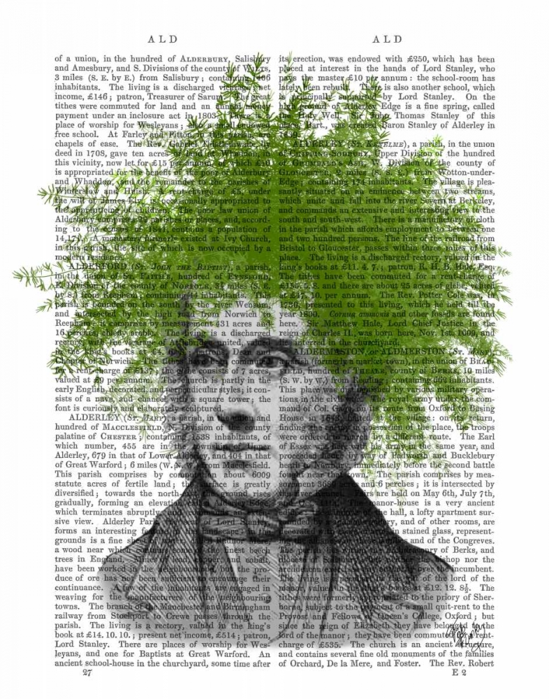 Wall Art Painting id:67715, Name: Asparagus Fern Head Plant Head, Artist: Fab Funky