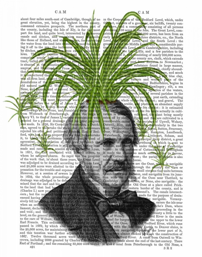 Wall Art Painting id:67718, Name: Spider Plant Head, Artist: Fab Funky