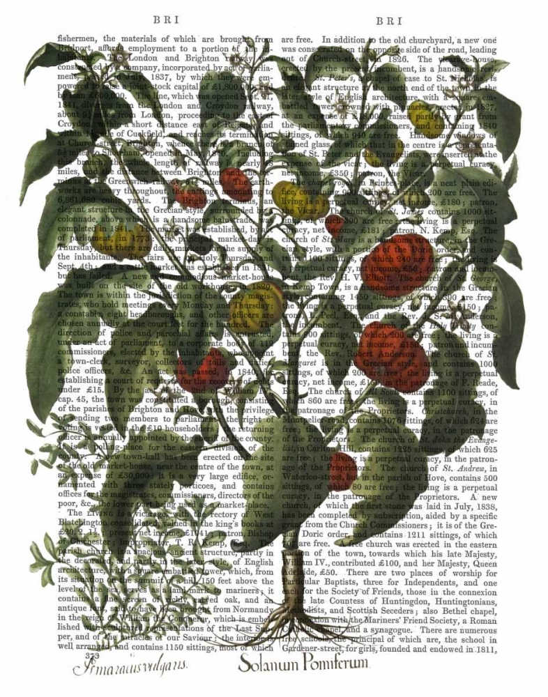 Wall art: Peppers 2, by Fab Funky