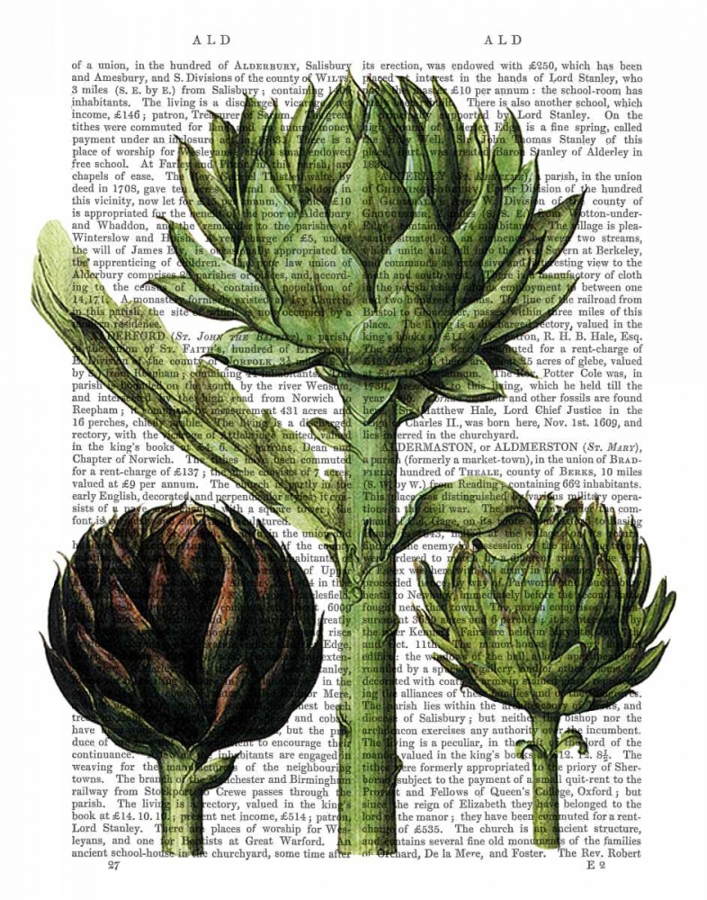 Art Print: Globe Artichoke Print 1