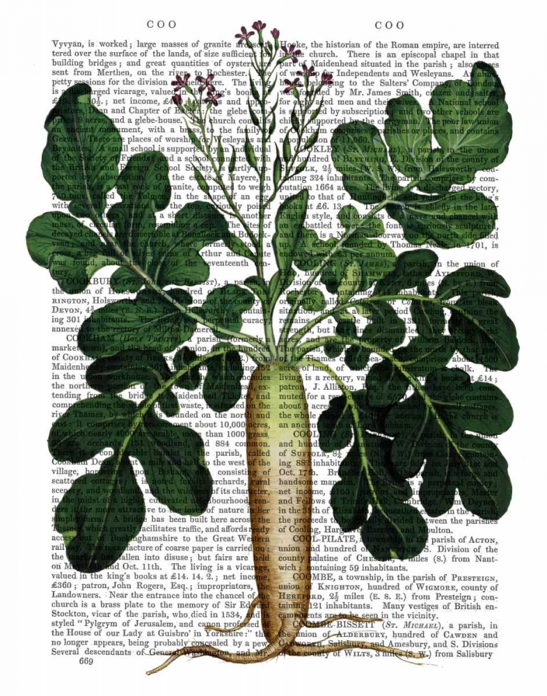 Wall art: Parsnip 2, by Fab Funky