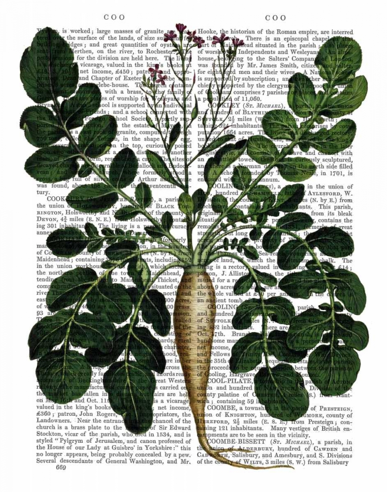 Wall art: Parsnip 3, by Fab Funky