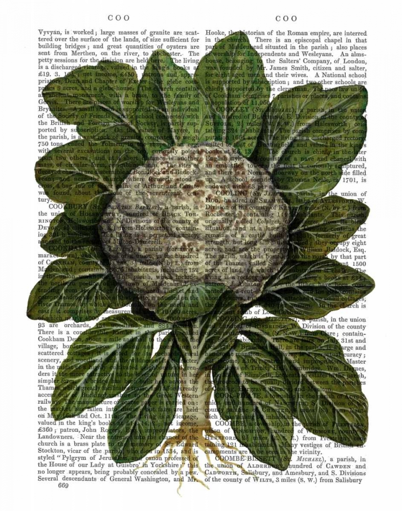 Wall art: Cauliflower, by Fab Funky