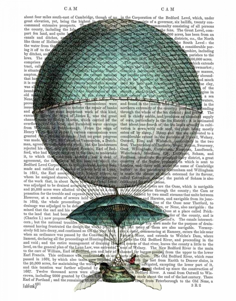 Wall art: Vaisseau Volant Hot Air Balloon, by Fab Funky