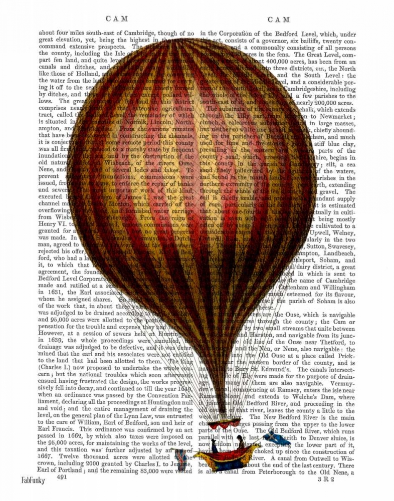 Wall art: Royal Nassau Balloon Hot Air Balloon, by Fab Funky