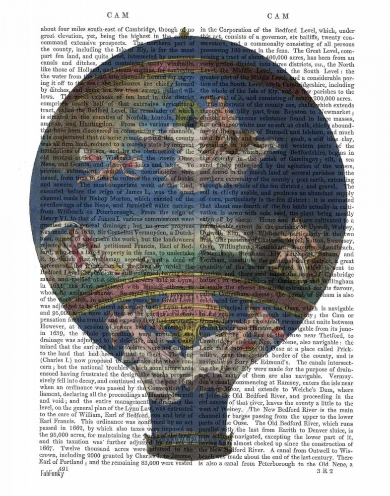 Wall art: Machine Aerostatique Hot Air Balloon, by Fab Funky