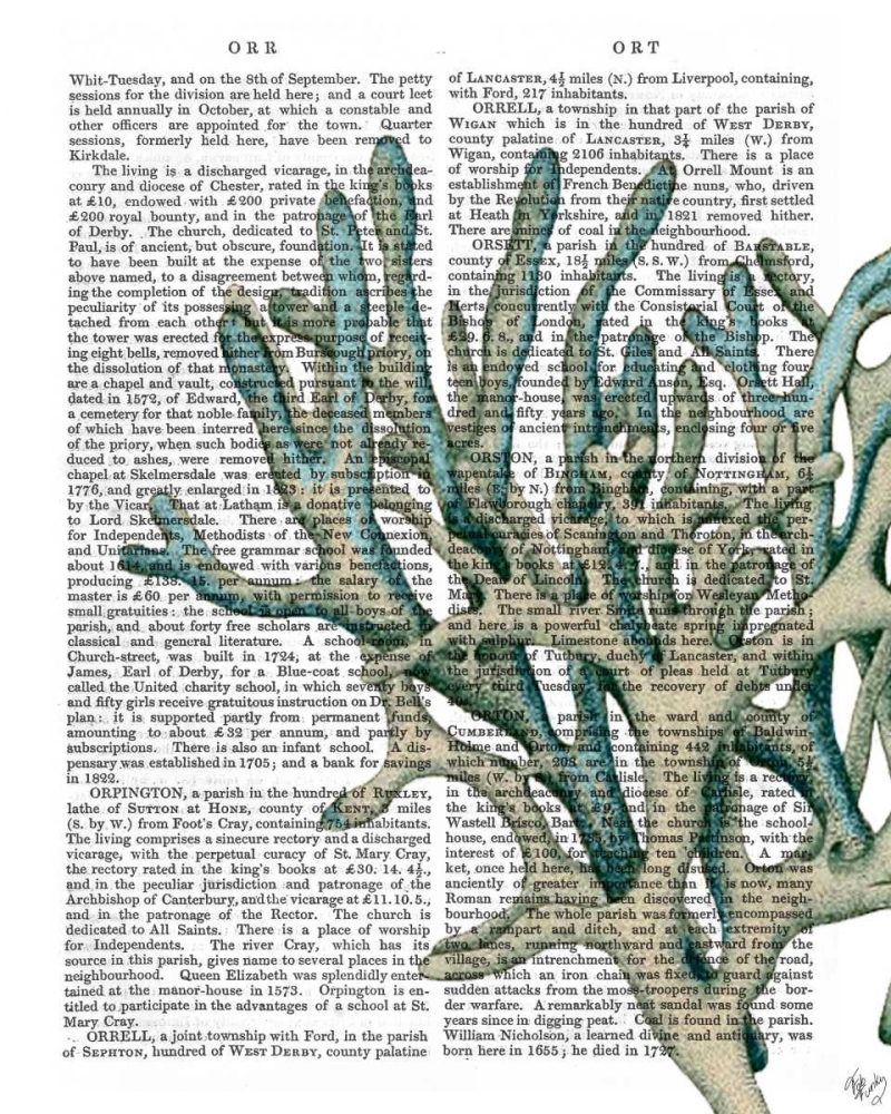 Art Print: Blue Corals and Sea Urchins III