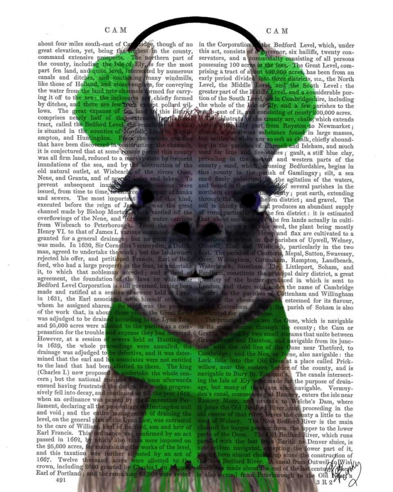Wall art: Chilly Llama, Green, by Fab Funky