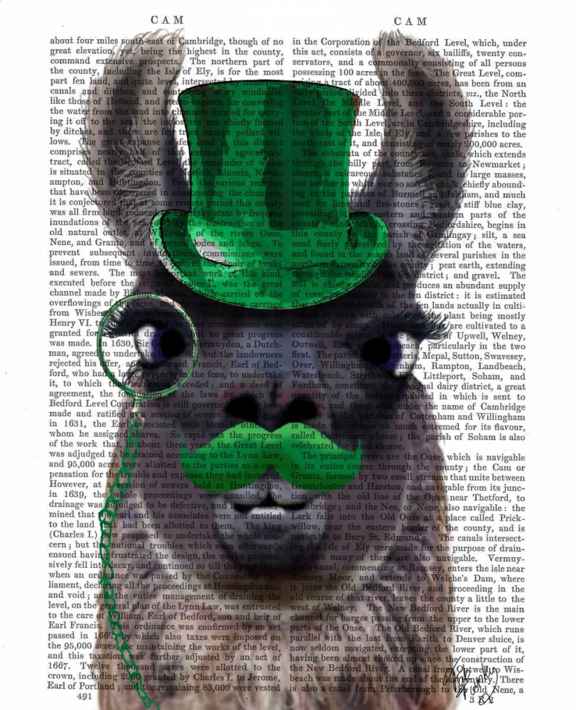 Wall art: Llama With Green Top Hat and Moustache, by Fab Funky