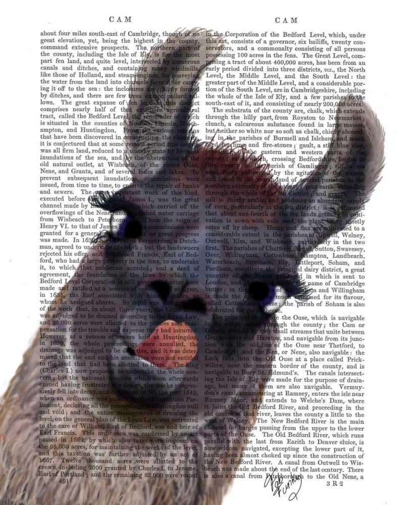Wall art: Silly Llama, by Fab Funky
