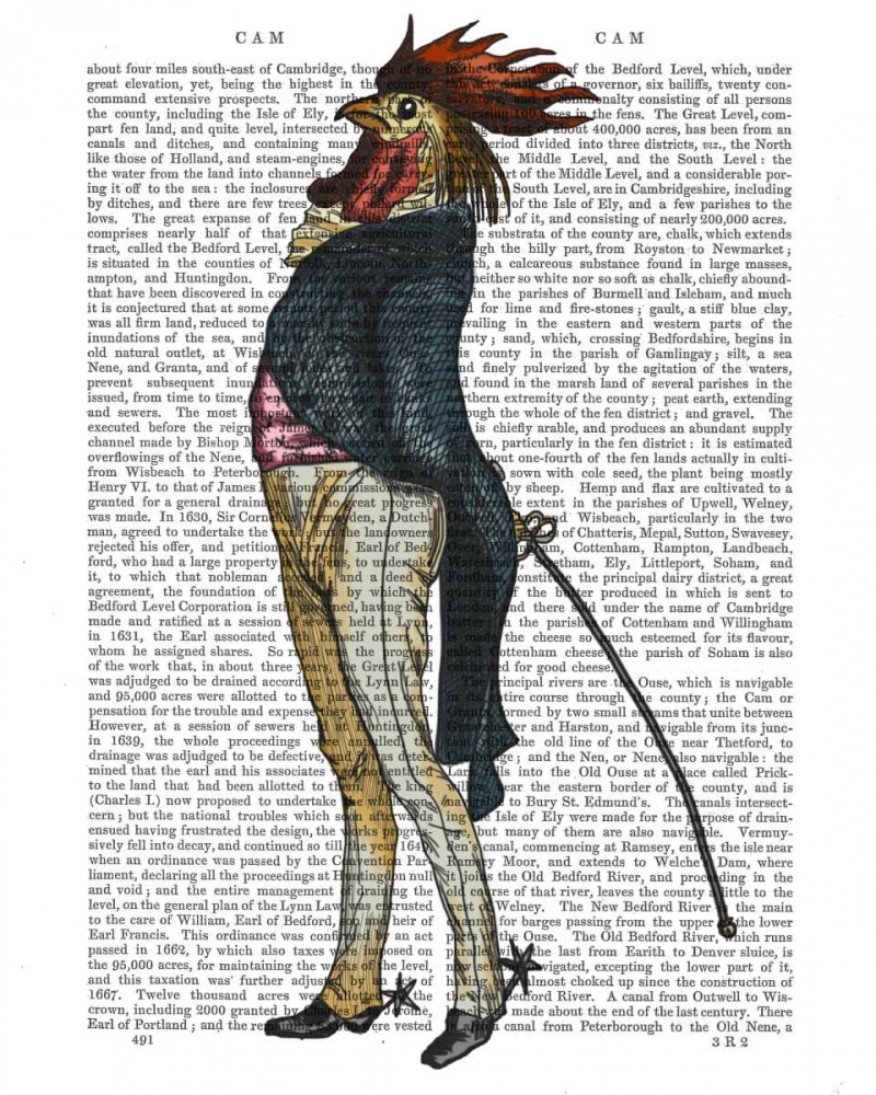 Wall art: Cockerel with Spurs, by Fab Funky