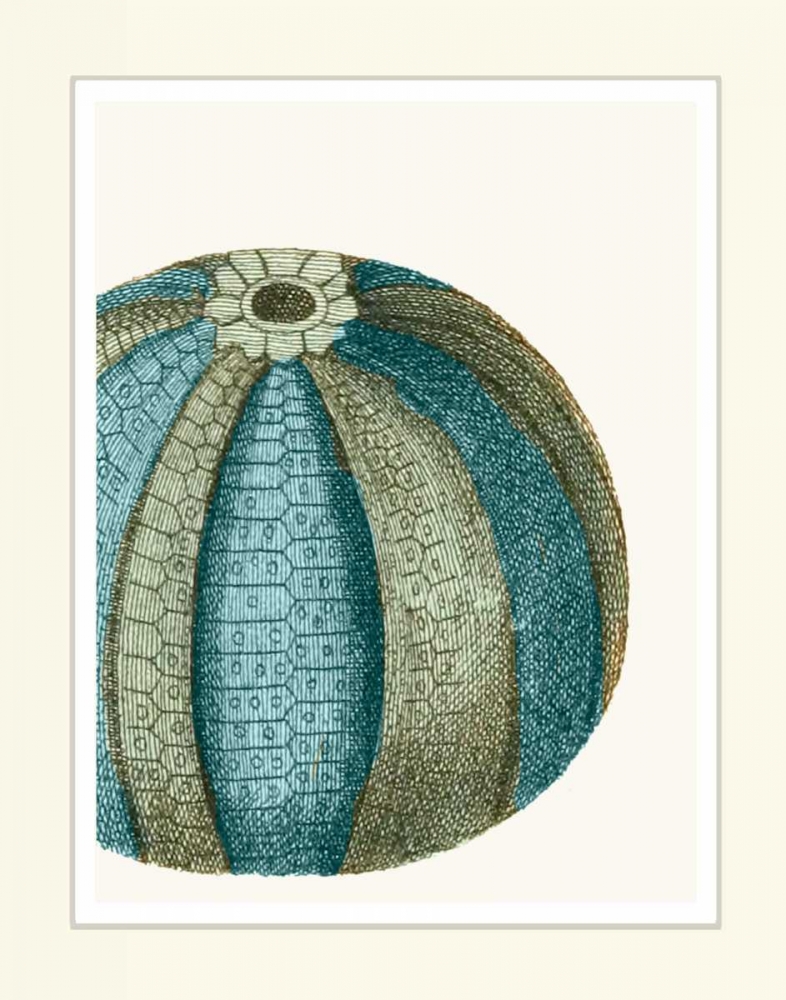 Wall art: Blue Underwater Scenes 2 a, by Fab Funky