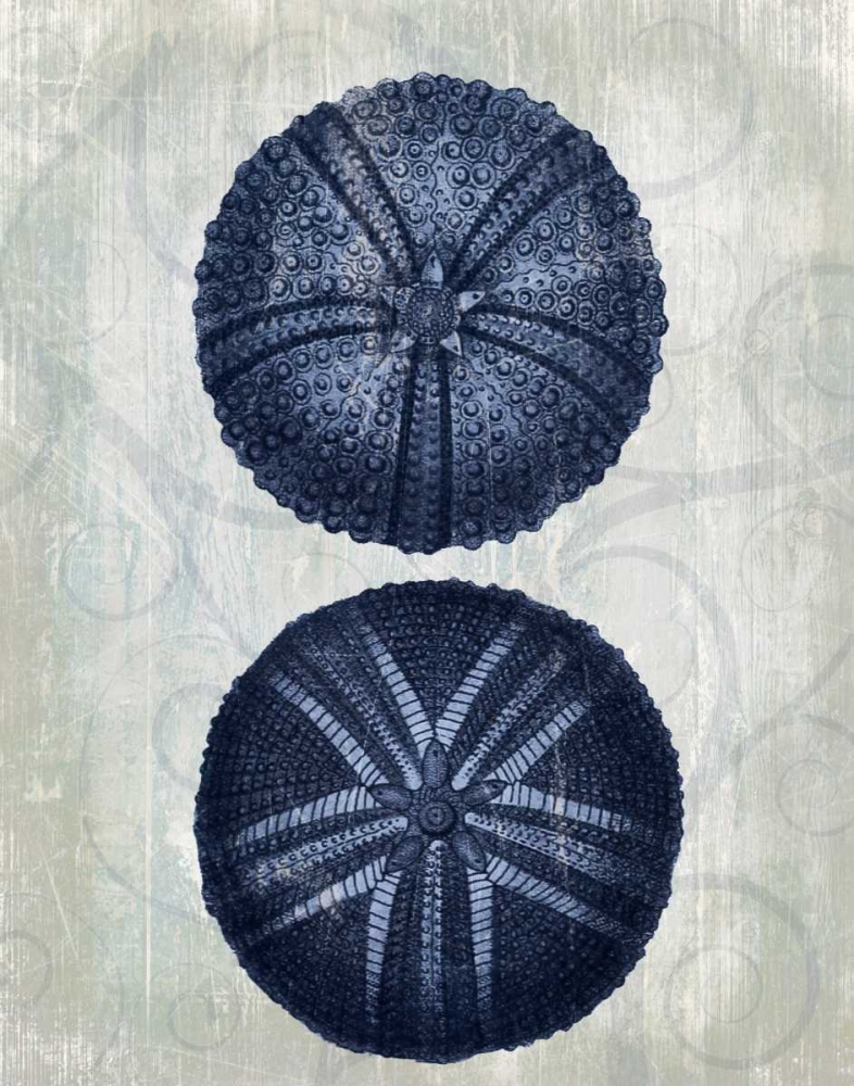 Art Print: Indigo Blue Sea Urchins a