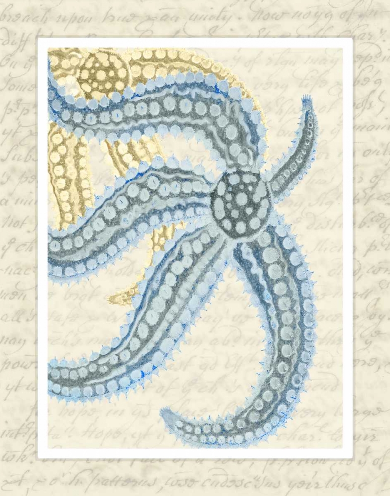 Art Print: Blue Corals On VIntage Script a