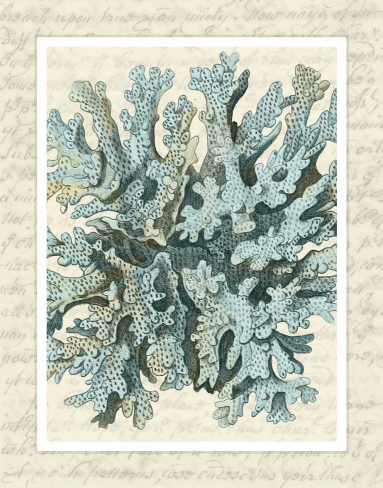 Art Print: Blue Corals On VIntage Script c