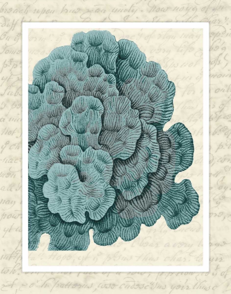 Wall Art Painting id:99040, Name: Blue Corals On VIntage Script e, Artist: Fab Funky