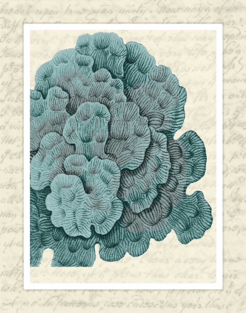 Art Print: Blue Corals On VIntage Script e