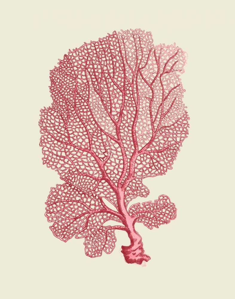 Art Print: Corals Coral On Cream c