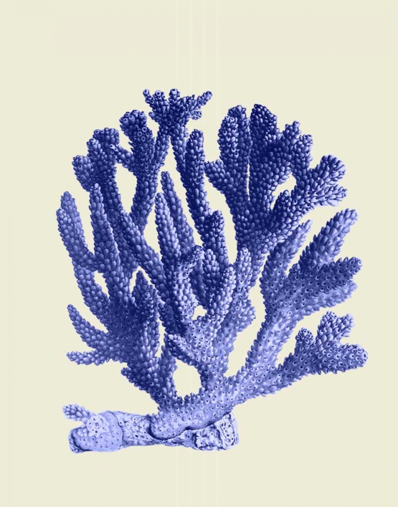 Art Print: Blue Corals a