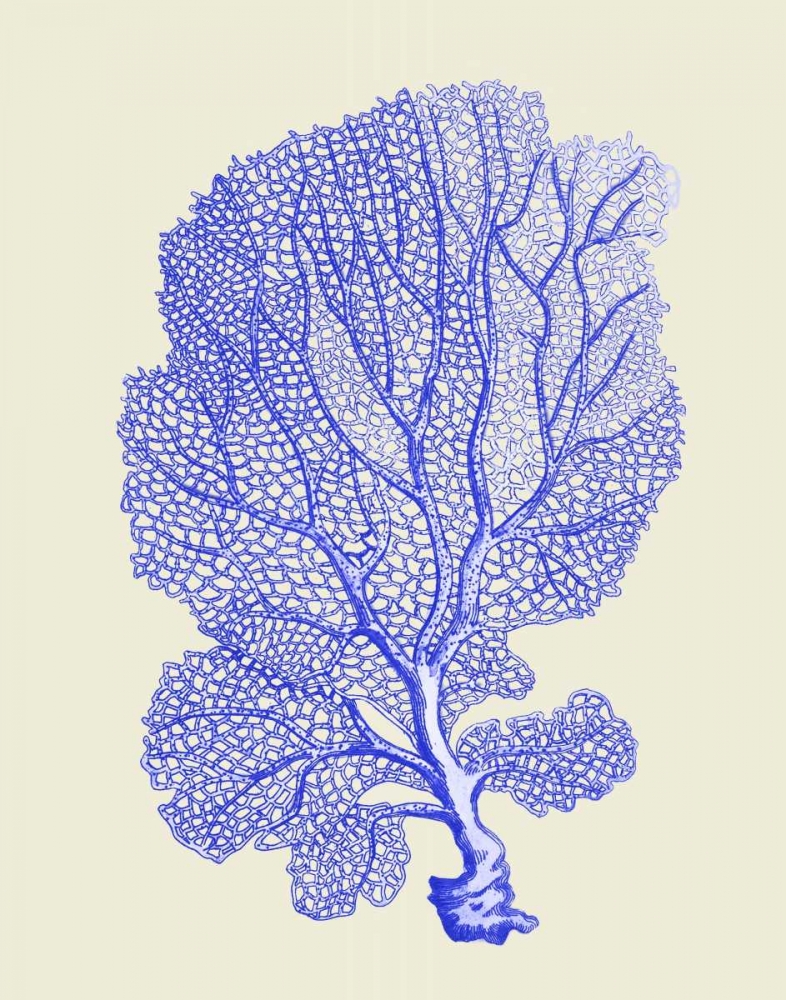 Wall Art Painting id:99080, Name: Blue Corals b, Artist: Fab Funky