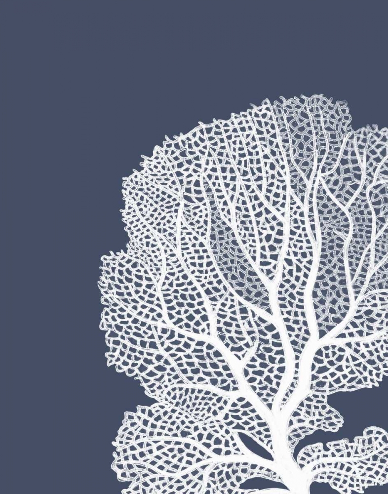 Wall Art Painting id:97801, Name: Corals White on Indigo Blue B, Artist: Fab Funky