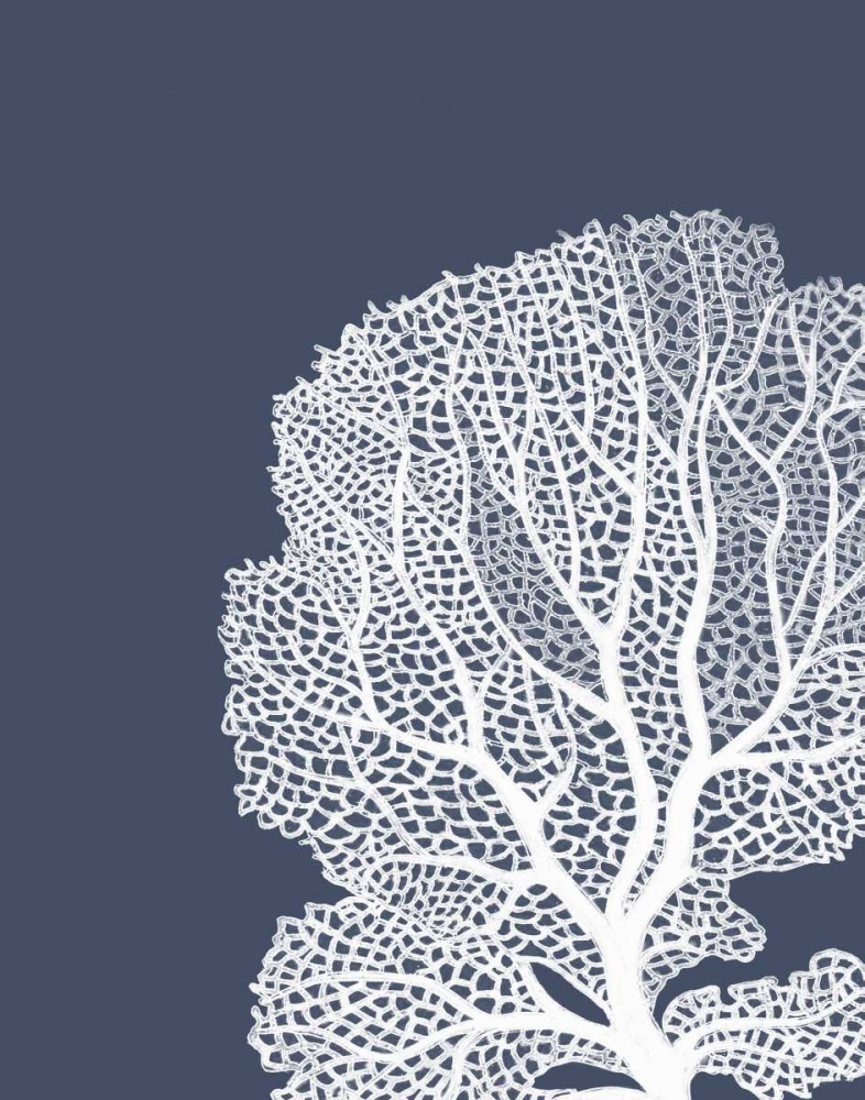 Art Print: Corals White on Indigo Blue B
