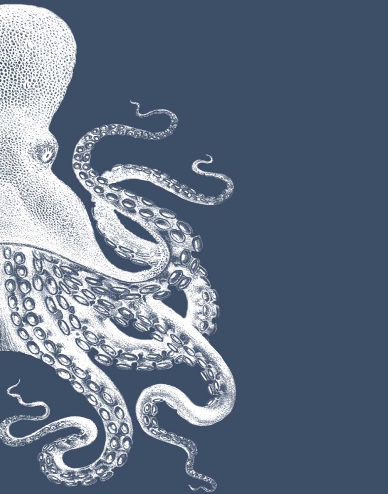 Art Print: Octopus Indigo Blue and Cream B
