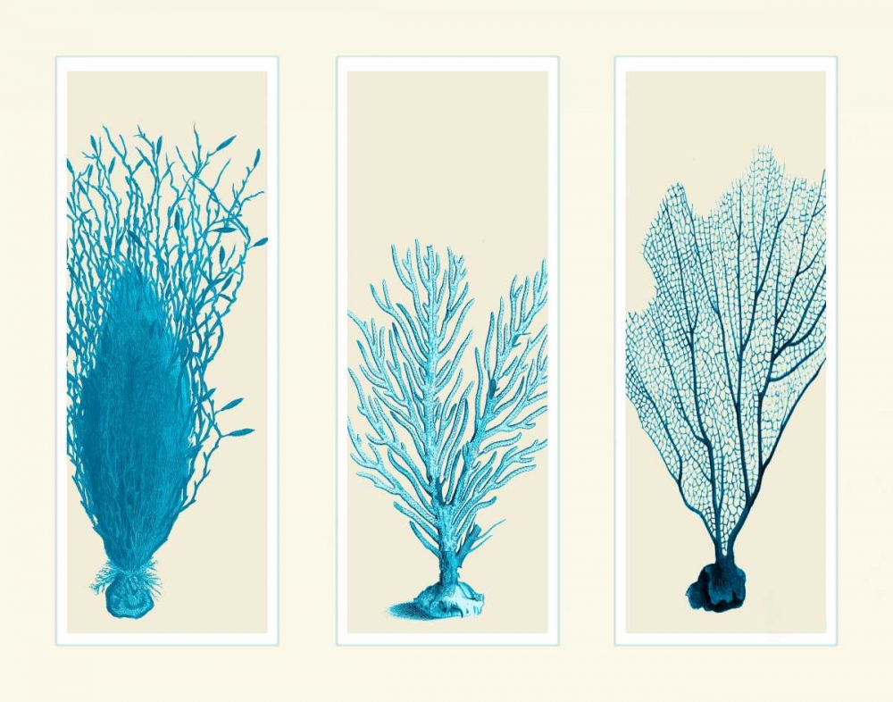 Art Print: Blue Corals on 3 Panels