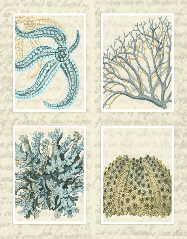 Art Print: Blue Corals On Vintage Script in 4 Panels