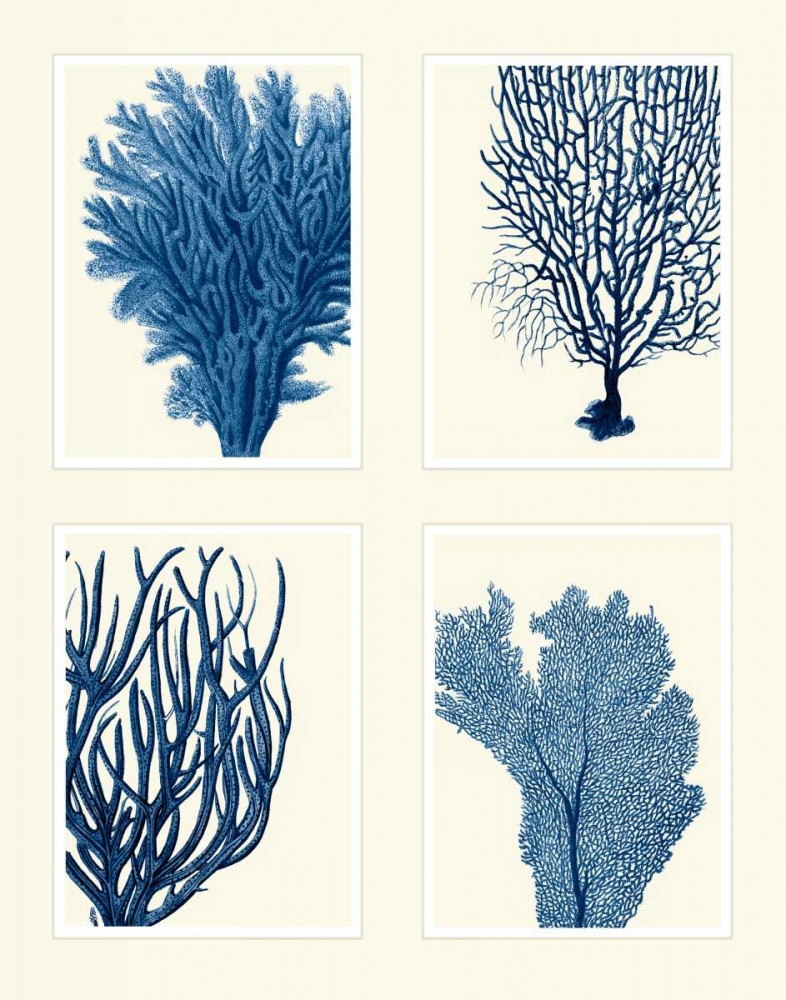 Art Print: Blue Coral Print on 4 Panels